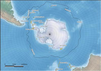 Pragmatic Assignment of Species Groups Based on Primary Species Hypotheses: The Case of a Dominant Component of the Southern Ocean Benthic Fauna